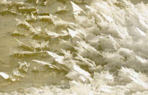 4 ice flowers (A Month Into The New year)