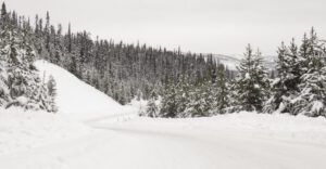 1 dull day (February Cold Snap)