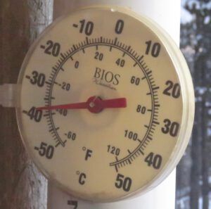 11 thermometre (February Cold Snap)