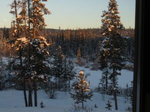 17 evening (February Cold Snap)