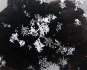 4 multiple flakes (February Cold Snap)