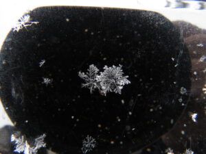 two flakes (February Cold Snap)