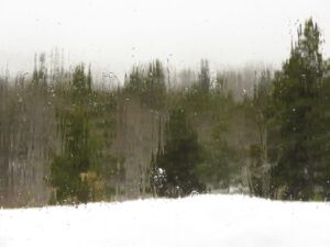 1 thaw. (The Light Half of the Year.)