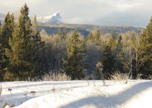 10 later (The Light Half of the Year.)