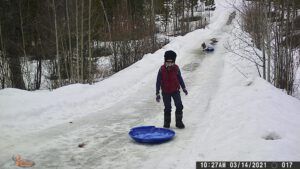 camera neighbours (The Light Half of the Year.)
