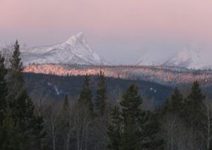 2 snow not far up (The Light Half of the Year.)