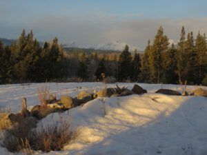 24 rockery showing (The Light Half of the Year.)