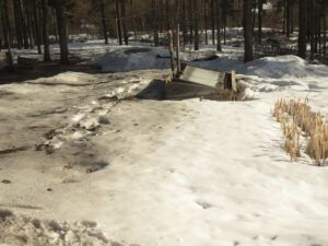 ashes on garden (The Light Half of the Year.)