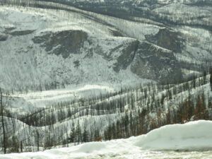 6 lee’s corner (The Light Half of the Year.)