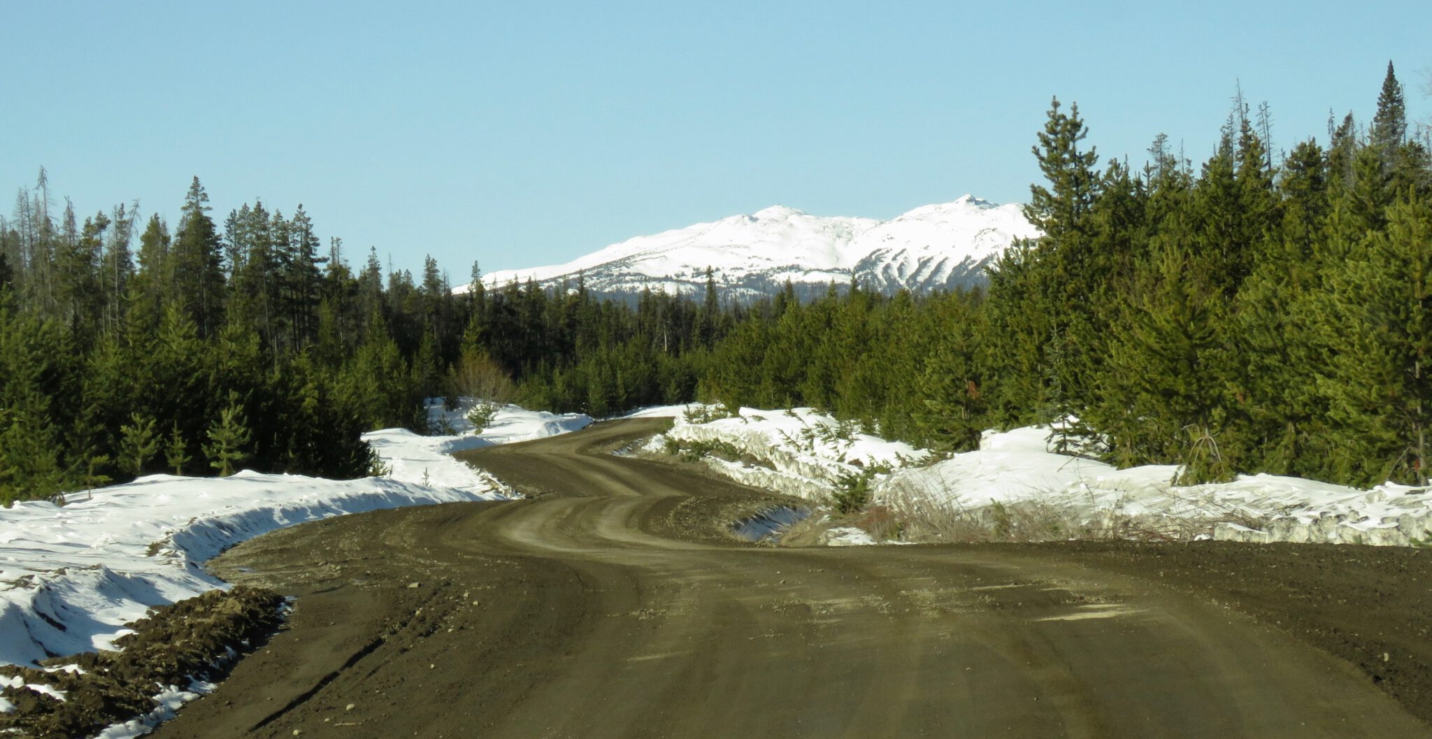 Bella Coola Hill Mid April Wilderness Dweller
