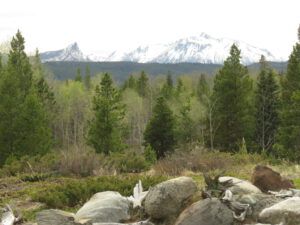 10 first leaves home (Down the bella coola hill again.)