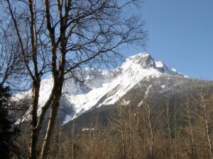 12 melican best (Bella Coola Hill Mid April)