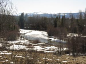 12 river (APRIL 2021)