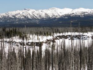 16 little rainbows (Bella Coola Hill Mid April)