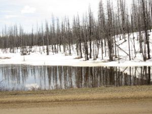 3 ditto (Down the bella coola hill again.)