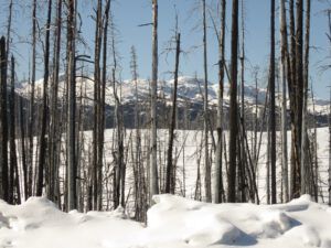5 little rainbows (Bella Coola Hill Mid April)