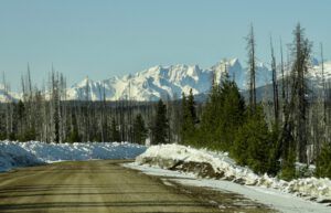 6 top of Hill (Bella Coola Hill Mid April)