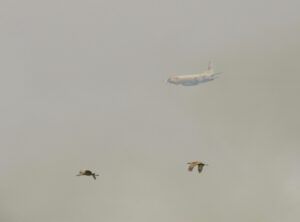 7 tanker and cranes (Kleena Kleene Fire)