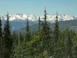 8 top of hill (Bella Coola Hill Mid April)