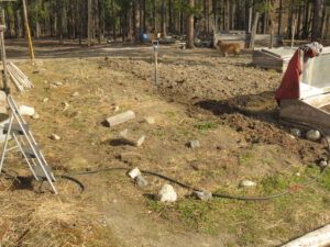 garden 1 (inexorable spring)