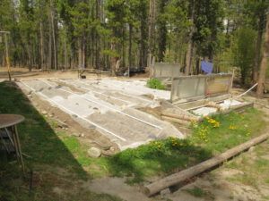 garden 5 planted (inexorable spring)