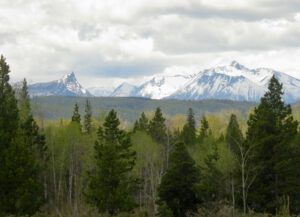 1 greening up (And the World Turns Green)