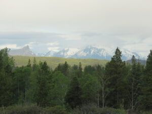 15 thundery weather (And the World Turns Green)