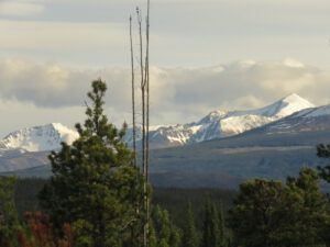 17 fresh snow PP (And the World Turns Green)