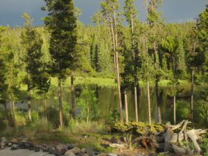 18 green pond (And the World Turns Green)