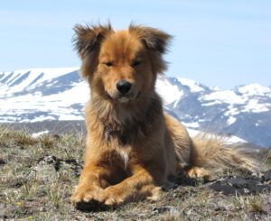 2 first mountain (Harry)