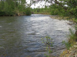 24 river (And the World Turns Green)