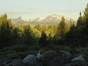 26 shining world (And the World Turns Green)