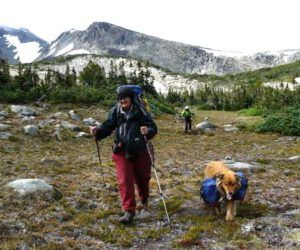 7 in the mountains (Harry)