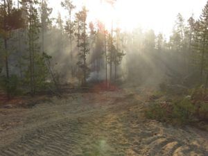 10 fireguard 2 (Today’s Trip Home.)