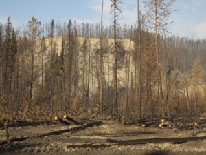 16 Hwy 20 1 (Today’s Trip Home.)