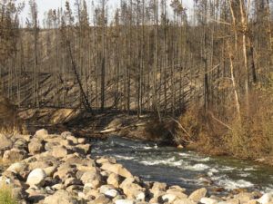 17 Hwy 20 2 (Today’s Trip Home.)