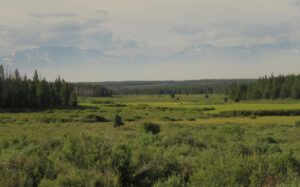 18 cariboo flats. (Today’s Trip Home.)
