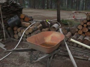 3 across yard (Today’s Trip Home.)