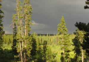 22 thundery sky. (heat)