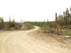 3.  Start of road (Second Trip Home ( Fire #6))