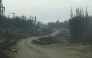 4 cleanup (another trip home)