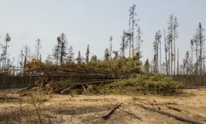 5 big pile (another trip home)