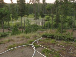 6 waterlevel dropped (another trip home)