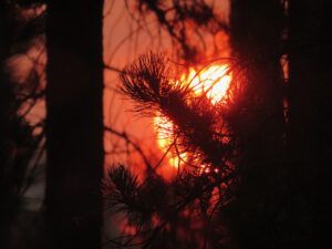 8 smoke sunrise (another trip home)