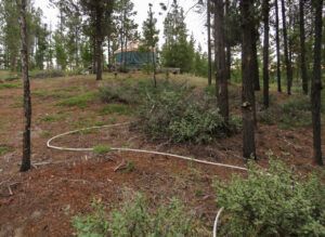 10a yurt (Fire #9.  Excursions.)
