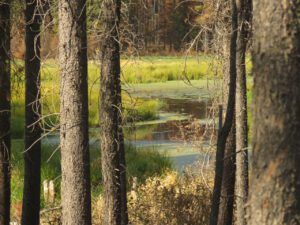 6 slough (The second heat wave)