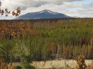 a1 Clear day. (Fire #9.  Excursions.)