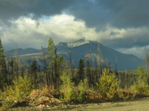 1 PP (Perkins Peak fall colours.)