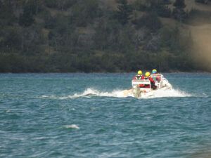 11 SAR 3 (Life after the fire)