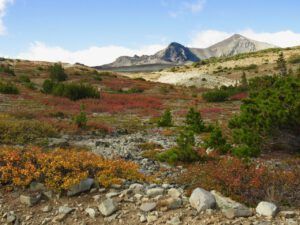 12 colour and PP (Perkins Peak fall colours.)